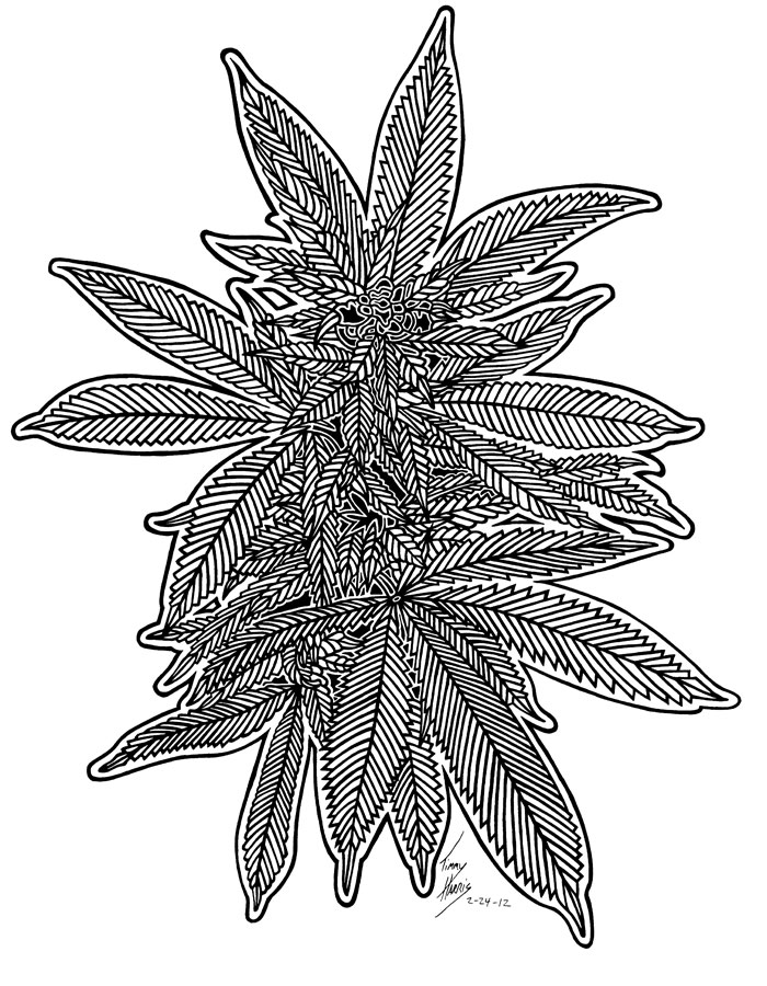 Line Art